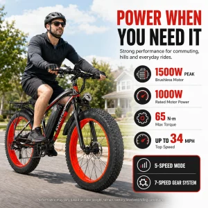 Fat Tire Electric Bike